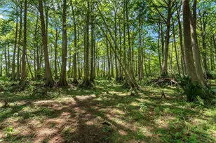 15120 SE 85th St, Ocklawaha, FL 32179 - Photo 46