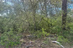 Lot 6 SW 170th Pl, Ocala, FL 34473 - Photo 1
