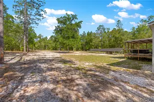 4146 SW 186th Ct, Dunnellon, FL 34432 - Photo 42