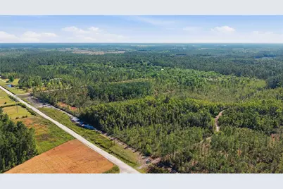 Tbd NE 125th Avenue, Fort Mc Coy, FL 32134 - Photo 2