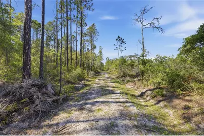 Tbd NE 125th Avenue, Fort Mc Coy, FL 32134 - Photo 12