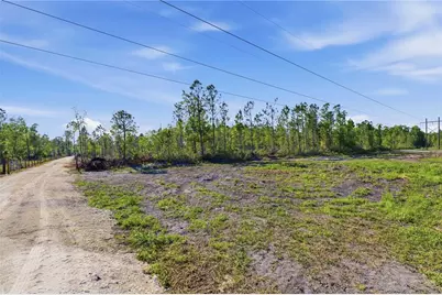Tbd NE 125th Avenue, Fort Mc Coy, FL 32134 - Photo 18