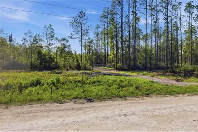 Tbd NE 125th Avenue, Fort Mc Coy, FL 32134 - Photo 16