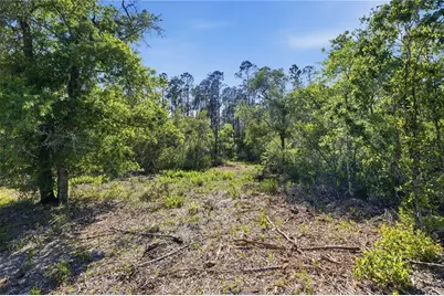 Tbd NE 125th Avenue, Fort Mc Coy, FL 32134 - Photo 8