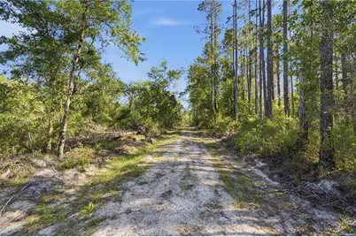 Tbd NE 125th Avenue, Fort Mc Coy, FL 32134 - Photo 4