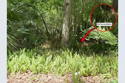 Sw 45th Street, Ocala, FL 34471 - Photo 8