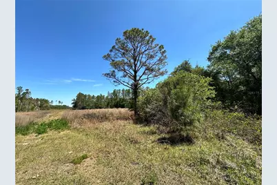 Tbd NE 128th Lane, Bronson, FL 32621 - Photo 2