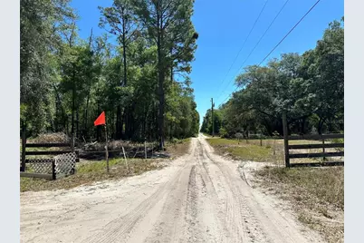 Tbd NE 128th Lane, Bronson, FL 32621 - Photo 8
