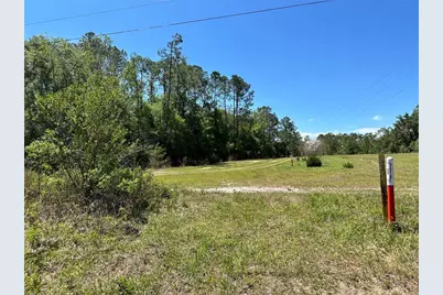 Tbd NE 128th Lane, Bronson, FL 32621 - Photo 12