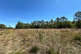 Tbd NE 128th Ln, Bronson, FL 32621 - Photo 1