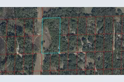 Tbd NE 128th Lane, Bronson, FL 32621 - Photo 4
