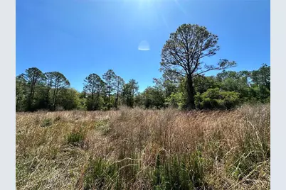 Tbd NE 128th Lane, Bronson, FL 32621 - Photo 14