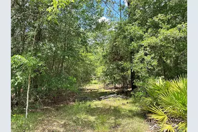 13070 NE 78th Place, Bronson, FL 32621 - Photo 1