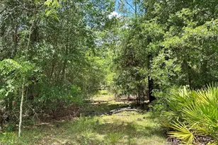13070 NE 78th Pl, Bronson, FL 32621 - Photo 1