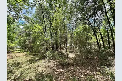 13070 NE 78th Place, Bronson, FL 32621 - Photo 4