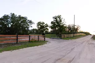 6254 W Peking Ct, Dunnellon, FL 34433 - Photo 86