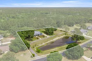 5927 NE 62nd Court Rd, Silver Springs, FL 34488 - Photo 38
