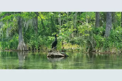 19660 SW 83rd Place Road #C16, Dunnellon, FL 34432 - Photo 84