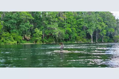 19660 SW 83rd Place Road #C16, Dunnellon, FL 34432 - Photo 82