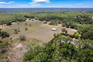 2691 NW County Road 345, Chiefland, FL 32626 - Photo 38