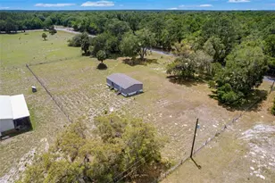 2691 NW County Road 345, Chiefland, FL 32626 - Photo 34