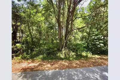 41 Pine Trace Course, Ocala, FL 34472 - Photo 1