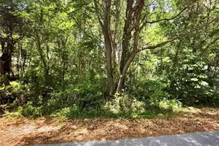 41 Pine Trace Course, Ocala, FL 34472 - Photo 1