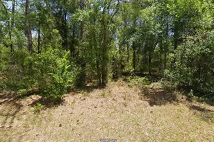 NW Buena Vista Rd, Dunnellon, FL 34431 - Photo 1