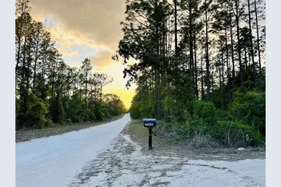 14251 SE 21st Place, Morriston, FL 32668 - Photo 50