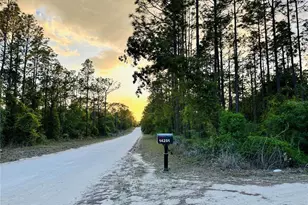 14251 SE 21st Pl, Morriston, FL 32668 - Photo 50