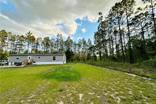 14251 SE 21st Pl, Morriston, FL 32668 - Photo 44