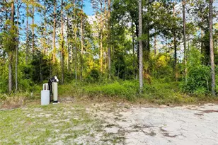 14251 SE 21st Pl, Morriston, FL 32668 - Photo 48