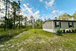 14251 SE 21st Pl, Morriston, FL 32668 - Photo 12