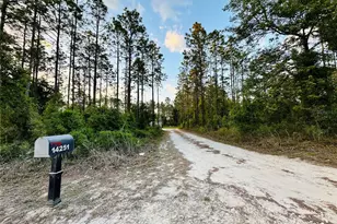 14251 SE 21st Pl, Morriston, FL 32668 - Photo 44