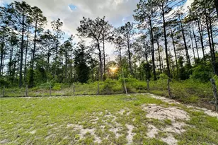 14251 SE 21st Pl, Morriston, FL 32668 - Photo 36
