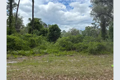 00 SE 87 Street, Ocklawaha, FL 32179 - Photo 1