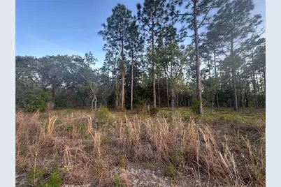 Lot 3 NW Amberjack Ave., Dunnellon, FL 34431 - Photo 2