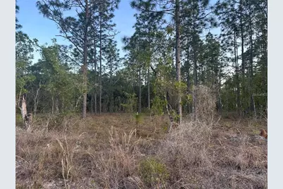 Lot 3 NW Amberjack Ave., Dunnellon, FL 34431 - Photo 1