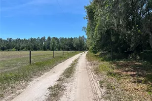 11051 SE 40th St, Morriston, FL 32668 - Photo 24