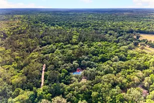 9190 NE 144th Terrace, Silver Springs, FL 34488 - Photo 40