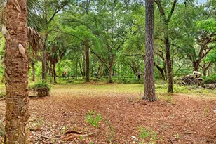 9190 NE 144th Terrace, Silver Springs, FL 34488 - Photo 6