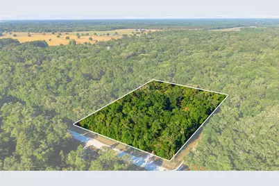 7850 NE 178th Terrace, Williston, FL 32696 - Photo 48