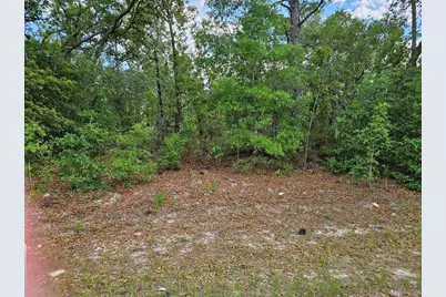 9440 N Old Mill Way, Dunnellon, FL 34434 - Photo 1