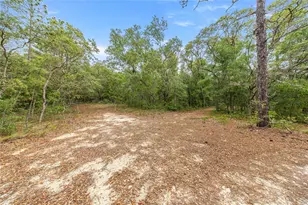 414 S School Ave, Lecanto, FL 34461 - Photo 66