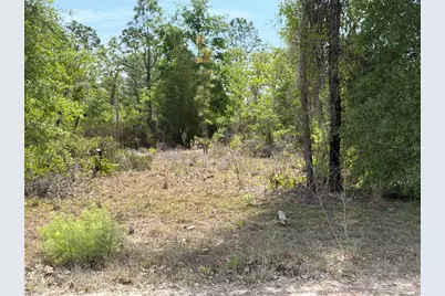 Tbd NE 110 Avenue, Bronson, FL 32621 - Photo 4
