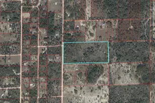 Tbd NE 110 Ave, Bronson, FL 32621 - Photo 1