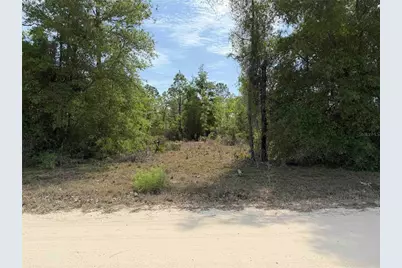 Tbd NE 110 Avenue, Bronson, FL 32621 - Photo 6