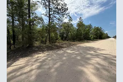 Tbd NE 110 Avenue, Bronson, FL 32621 - Photo 10