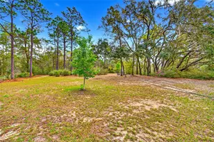 2933 E Quail Ct, Inverness, FL 34452 - Photo 30