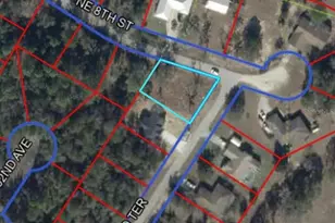 Tbd NE 152 Terrace, Williston, FL 32696 - Photo 1